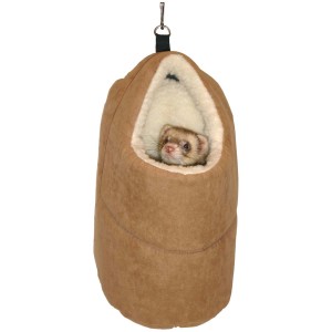 Maison pour Furet Brun...
