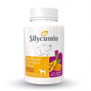 Silycumin Extrait de...