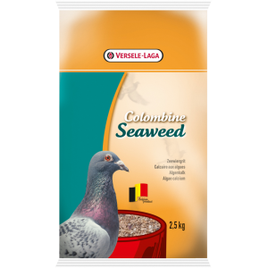 SEAWEED
