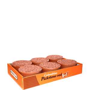 PICKSTONE RED "TRAY 5+1"
