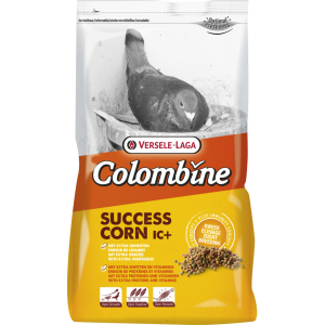SUCCESS CORN I.C.⁺