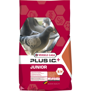JUNIOR