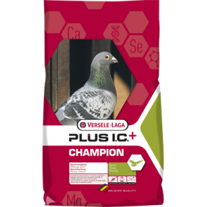 CHAMPION