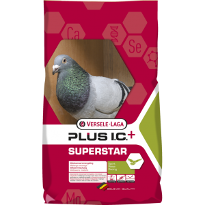 SUPERSTAR