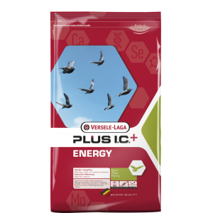 ENERGY