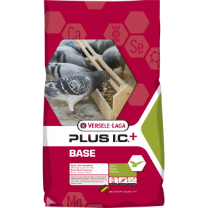 Plus I.C.+ Base