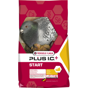 START