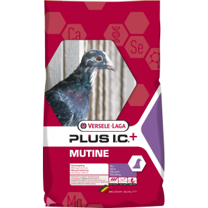 MUTINE