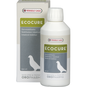 ECOCURE - 250 Ml