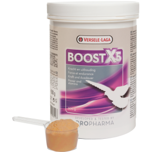 BOOST X5 - 500 Gr