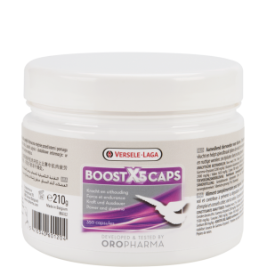 BOOST X5 - 350 CAPS