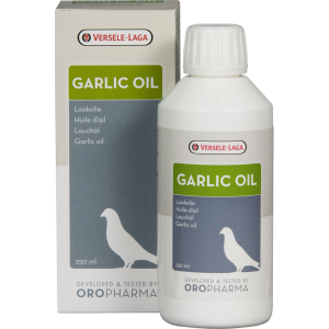 GARLIC OIL - 250 Ml