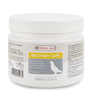 RECOVERY CAPS - 350 Cap