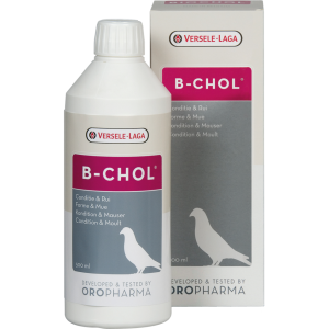 B-Chol - 500 ml