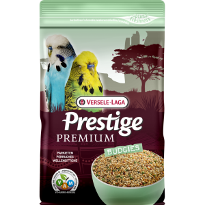 PERRUCHES ONDULÉES