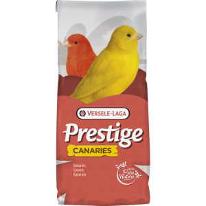 PRESTIGE CANARIS ELEVAGE -...