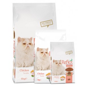 Reflex Chat Kitten/Chaton...
