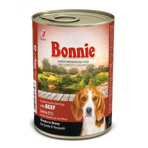 Bonnie Chien Adulte au...