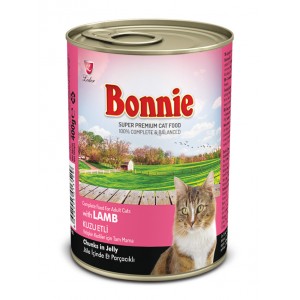 Bonnie Chat Adulte à...