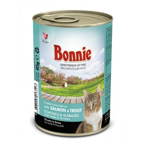 Bonnie Chat Adulte au...