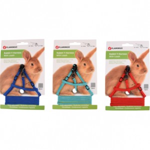 Lapin Y-Harnais+Laisse...