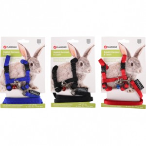 Lapin Harnais+Laisse...